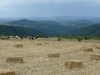 Straw bales