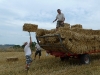 Collecting the straw